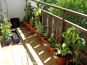 GARDENING IDEAS FOR BALCONY